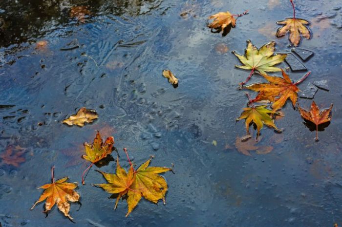 Voorbeeld aanbieding 2