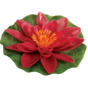 web - gardena waterlelie